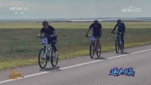 日职教练培养体系解析