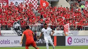 芝加哥小熊在 2024 年底宣布将与其主场的常春藤墙进行特殊的生态保护项目