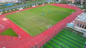 2025中超解围榜：杜加利奇以246次居首；本土球员廖均健最多